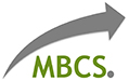 mb consulting services